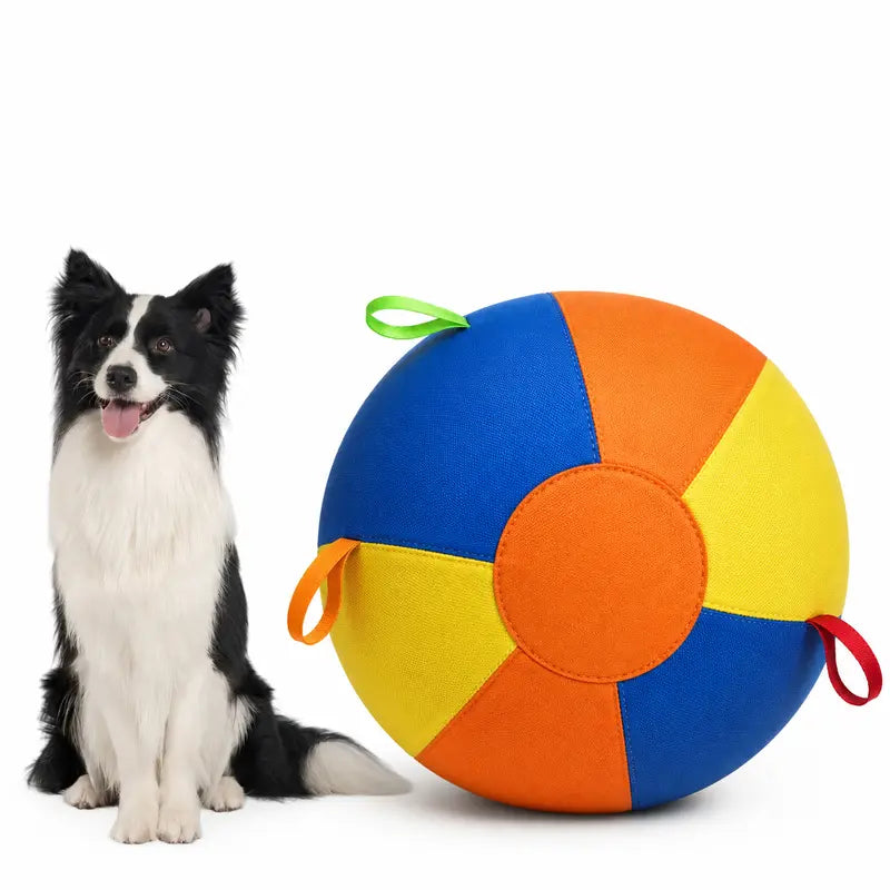 Interactive Push-and-Pull Outdoor Dog Toy