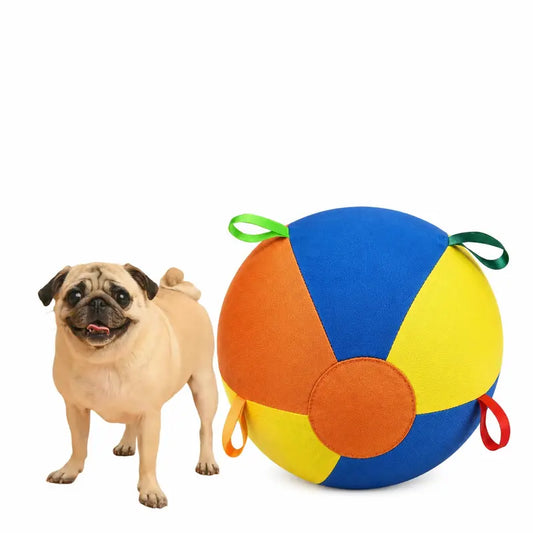 Interactive Push-and-Pull Outdoor Dog Toy