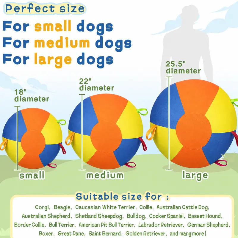 Interactive Push-and-Pull Outdoor Dog Toy