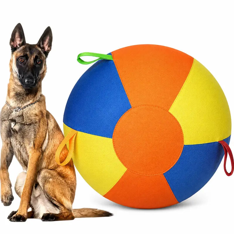 Interactive Push-and-Pull Outdoor Dog Toy